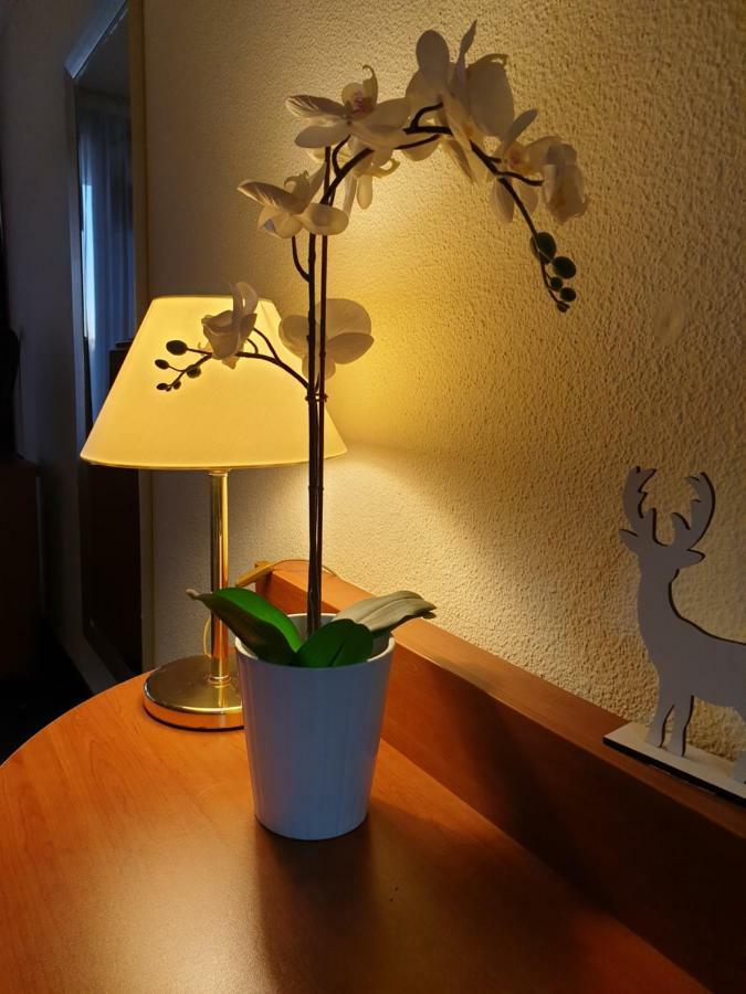 Apartment Am Kranichsee Vier Jahreszeiten Goslar Exteriör bild